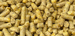 Chicken Feed